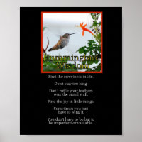 Poster de la sagesse des colibris