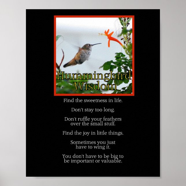 Poster de la sagesse des colibris (Devant)