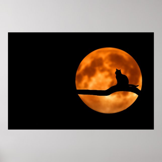 Poster de la silhouette de chat (Devant)