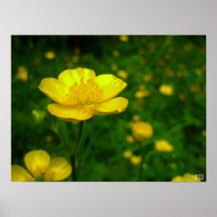 Poster de la tasse d'or Imprimer Art sauvage Impri