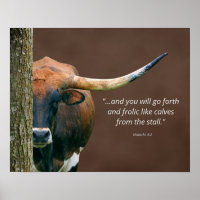 Poster de la vache de Texas Longhorn - Libération