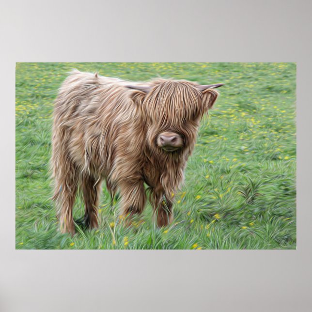 Poster de la vache écossaise Highland (Devant)