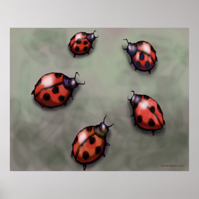Poster de Ladybugs (Devant)