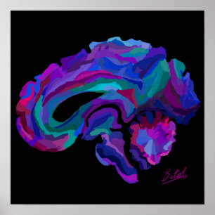 Poster de l'affiche du cerveau de couleur