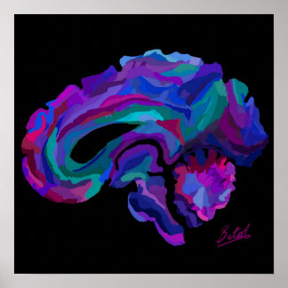 Poster de l'affiche du cerveau de couleur