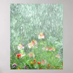 Poster de l'affiche du Jardin des fleurs dans la p
