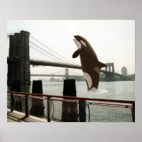 Poster de l'affiche du pont Brooklyn