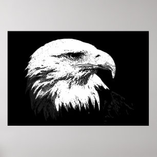 Poster de l'aigle à tête blanche BW American Impri