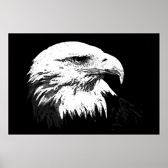 Poster de l'aigle à tête blanche BW American Impri (Devant)