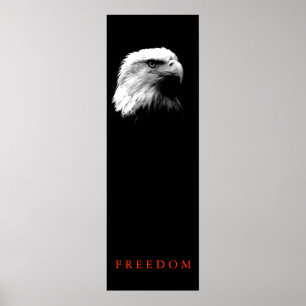 Poster de l'aigle à tête blanche pour motifs verti