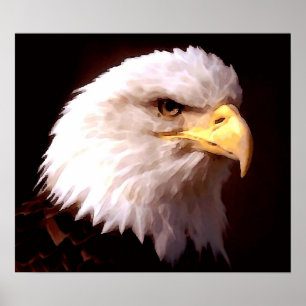 Poster de l'aigle américain Bald Eagle