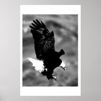 Poster de l'aigle d'Amérique Bald Imprimer Posters