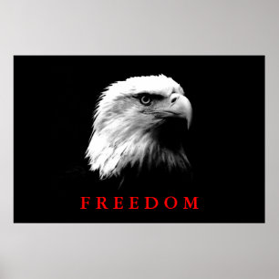 Poster de l'aigle de liberté en blanc noir