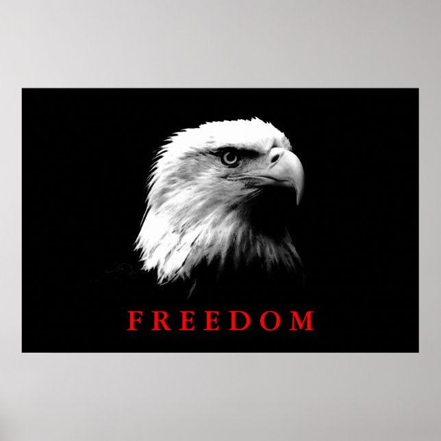 Poster de l'aigle de liberté en blanc noir (Devant)