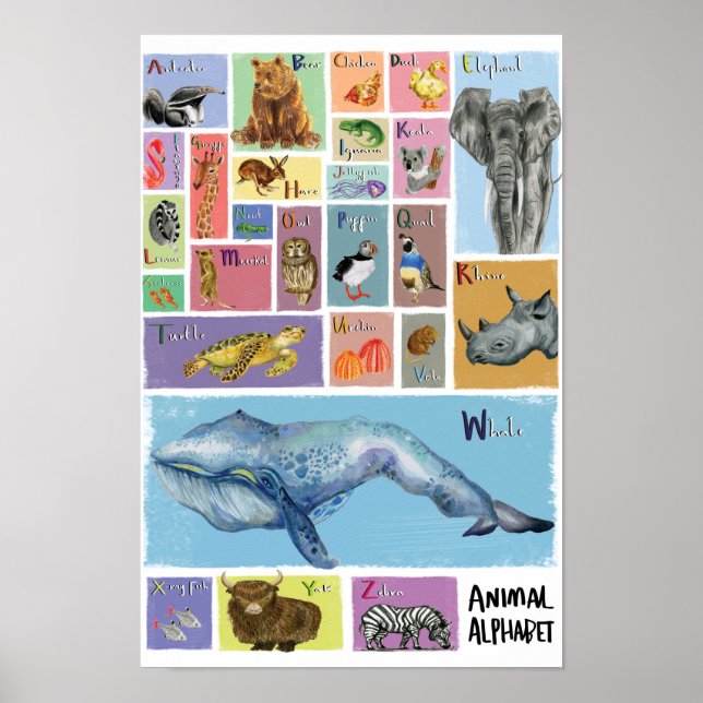 Poster de l'alphabet animal (Devant)
