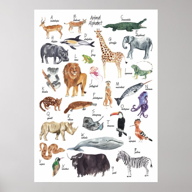 Poster de l'alphabet animal pour enfants (Devant)