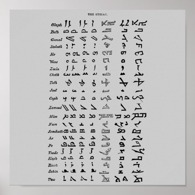 Poster de l'alphabet de la Syrie antique (Devant)