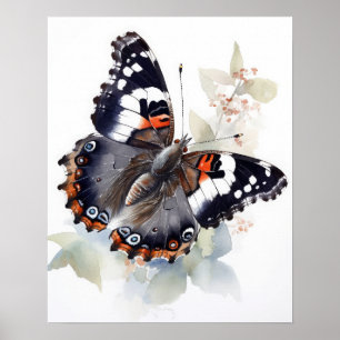 Poster de l'amiral Weidemeyer's Butterfly Art