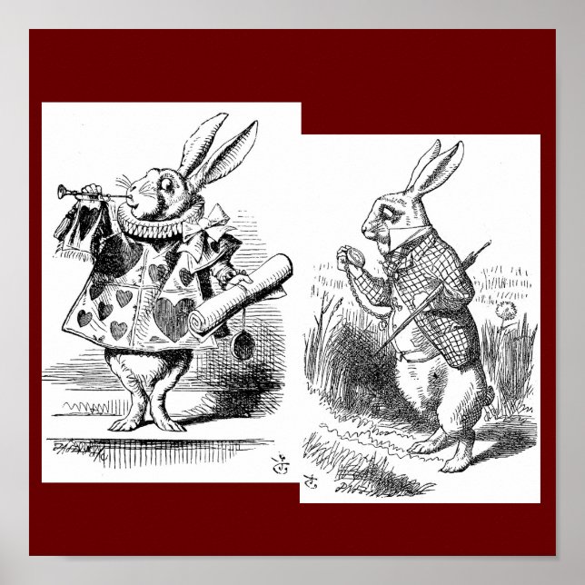 Poster de lapin (Devant)