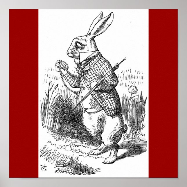 Poster de lapin (Devant)
