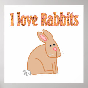 Poster de lapin
