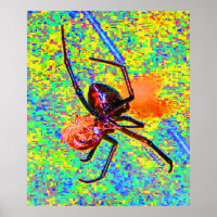 Poster de l'araignée noire