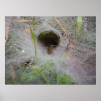 Poster de l'araignée Web du tunnel européen