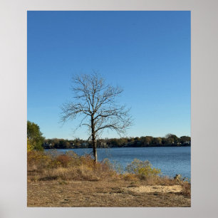 Poster de l'arbre près de la rivière