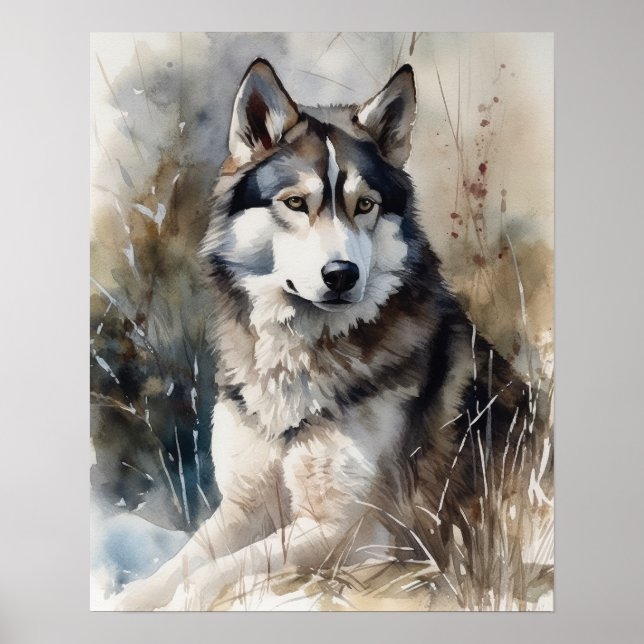 Poster de l'art de Chien Sibérien Husky (Devant)
