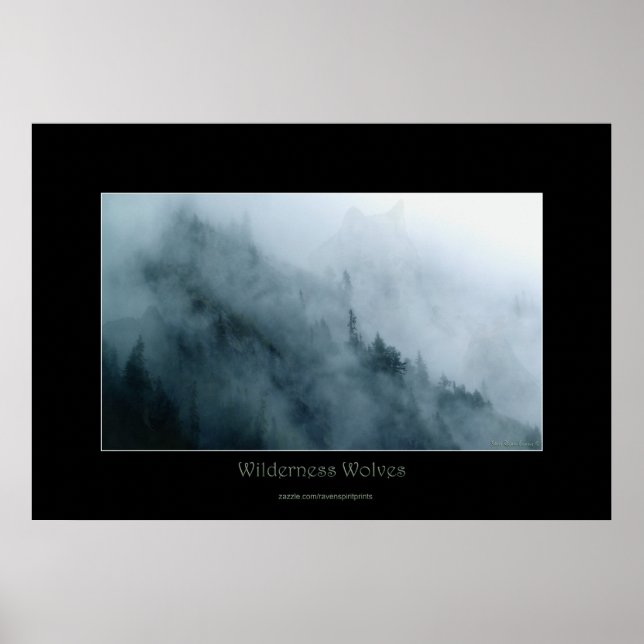 Poster de l'art de la faune sauvage et des loups c (Devant)