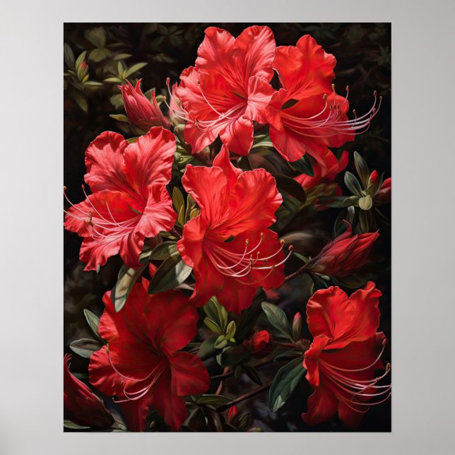 Poster de l'art des fleurs d'Azalea rouge (Devant)