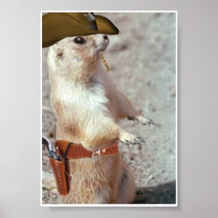 Poster de l'écureuil de gun Slinger