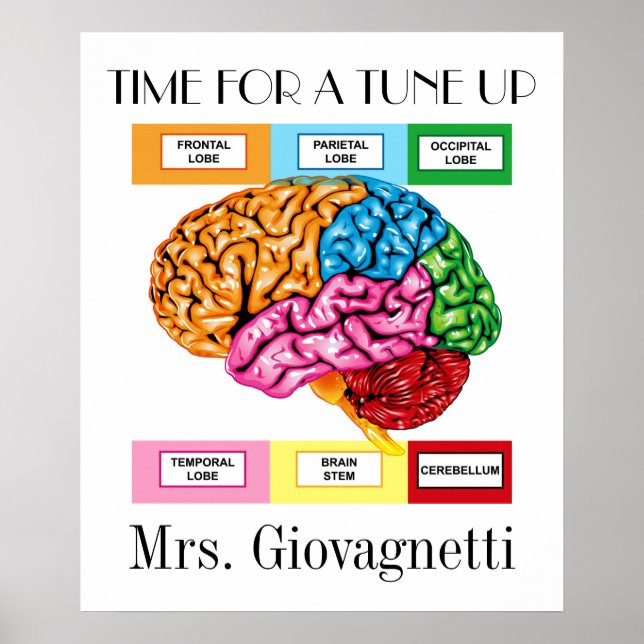 Poster de l'enseignant Humour du cerveau (Devant)