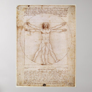 Poster de Leonardo da Vinci Vitruvian