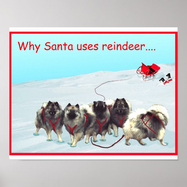 Poster de l'équipe de traîneau (Devant)