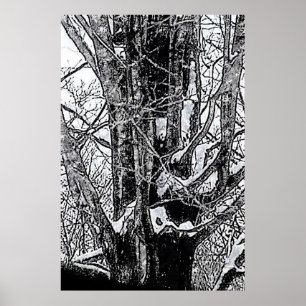 Poster de l'érable neigeux Le MUSÉE Zazzle Cadeaux