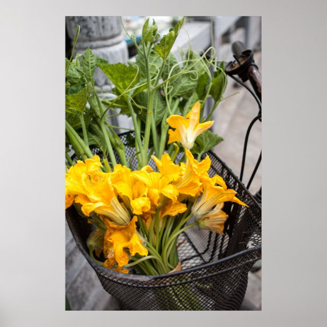 Poster de l'été Zuchinni Blossoms (Devant)