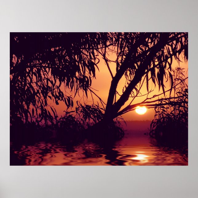 Poster de l'habitat du silhouette du coucher du so (Devant)