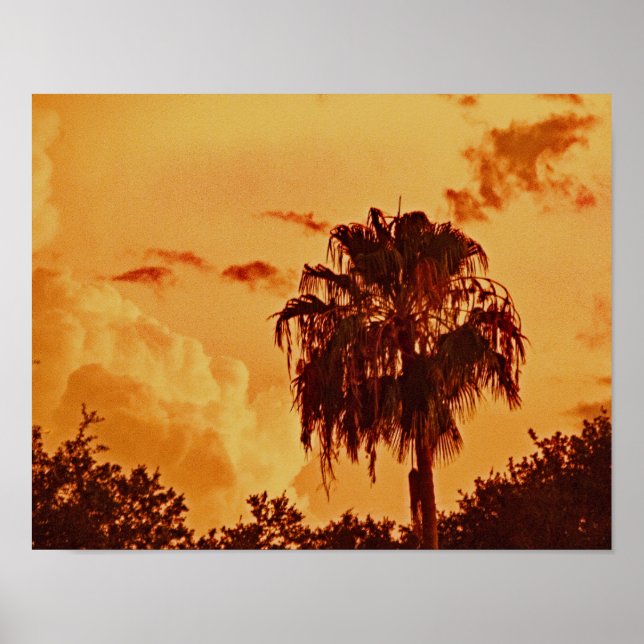 Poster de l'heure d'or Palm Tree (Devant)