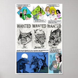 Poster de l'histoire du WC