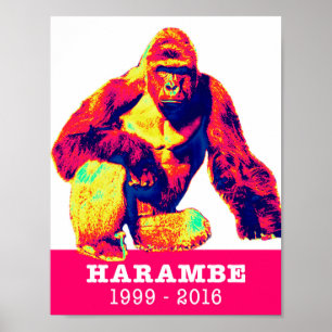 Poster de l'hommage Harambe
