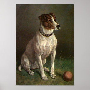 Poster de l'image de chien vintage