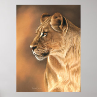 Poster de Lioness