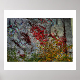 Poster de l'Ode du Pays du Nord pour Pollock