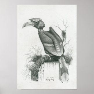 Poster de l'Oiseau de Hornbill cambodgien par Vann