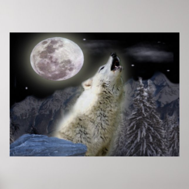 Poster de loup solitaire (Devant)