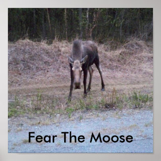 Poster de Moose