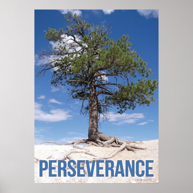Poster de motivation de l'arbre de persévérance (Devant)