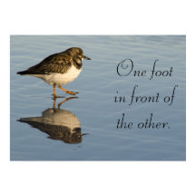 Poster de motivation des oiseaux de Sandpiper