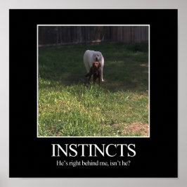 Poster de motivation, INSTINCTS